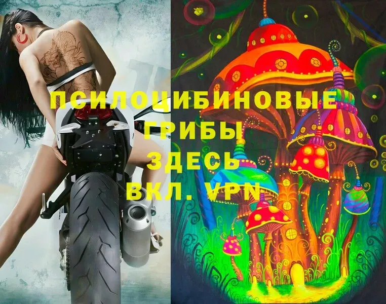 Галлюциногенные грибы Cubensis  Инта 